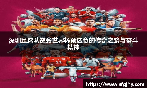 深圳足球队逆袭世界杯预选赛的传奇之路与奋斗精神